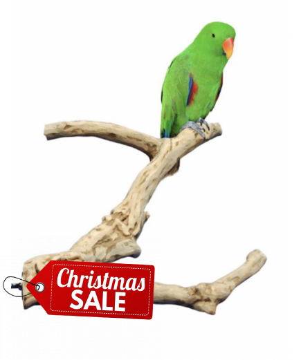 Java Wood Multibranch Perch For Parrots - Large